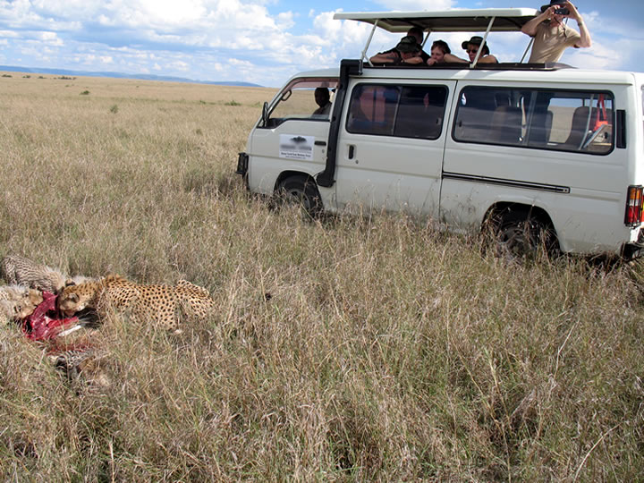 Kenya safari