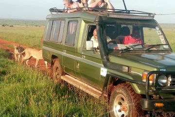 Kenya and Tanzania Jeep Safari