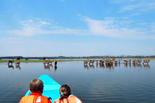 Lake Naivasha Tour