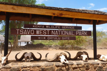 Tsavo West National Park Tour