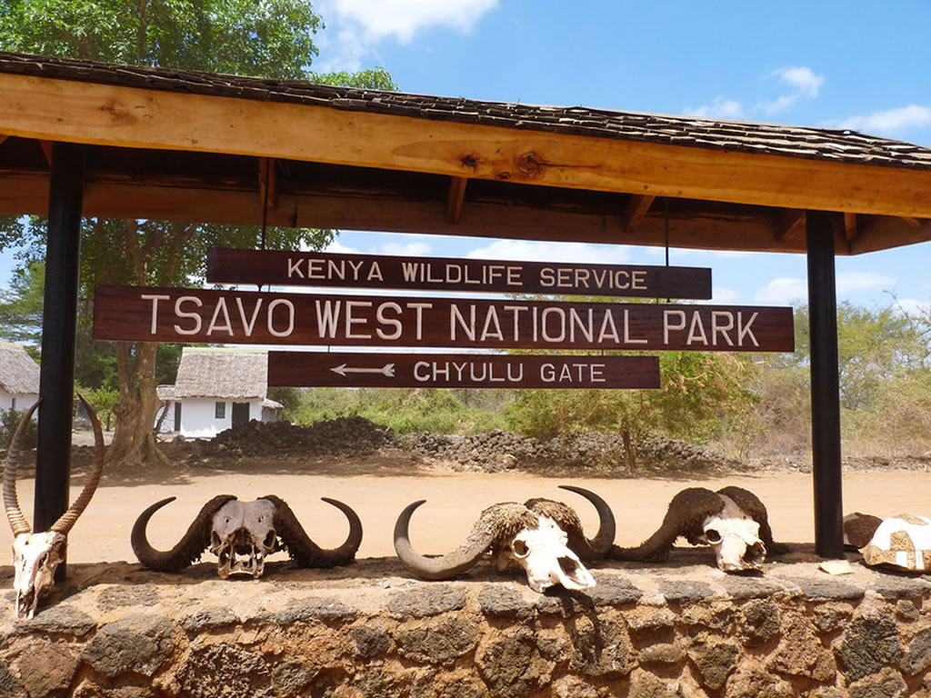Tsavo West National Park Tour
