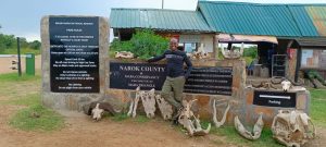 Ali Grivet Safaris